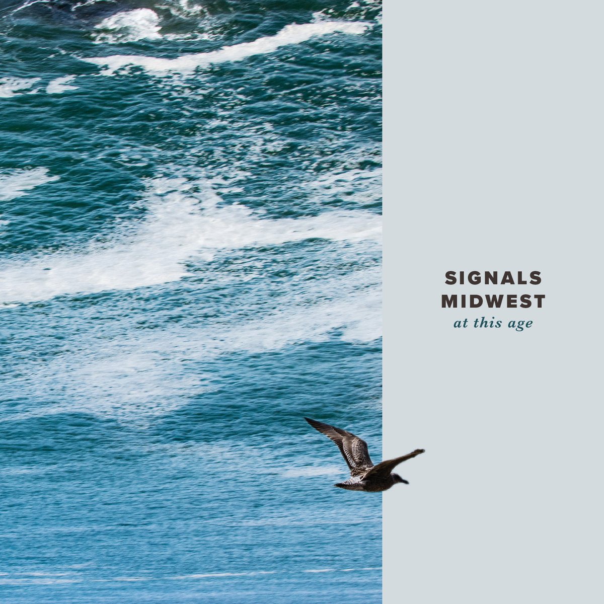 Signals Midwest - At This Age LP - Vinyl - Tiny Engines