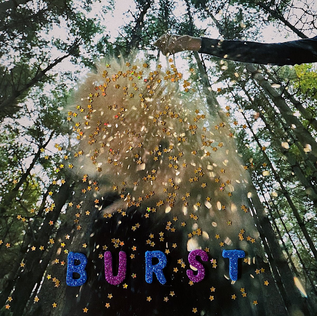 Snarls - Burst LP - Vinyl - Take This To Heart