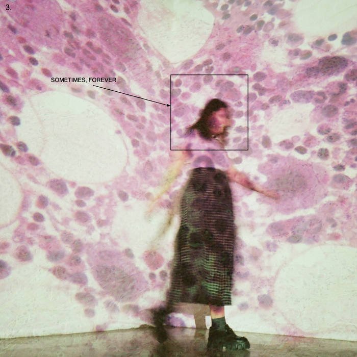 Soccer Mommy - Sometimes, Forever LP - Vinyl - Loma Vista