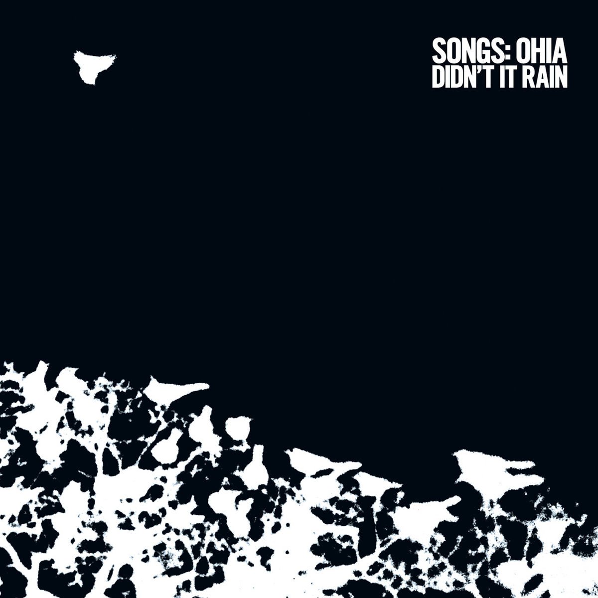Songs: Ohia - Didn't It Rain 2xLP - Vinyl - Secretly Canadian