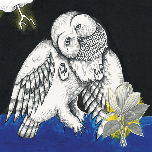 Songs: Ohia - The Magnolia Electric Co. LP - Vinyl - Secretly Canadian