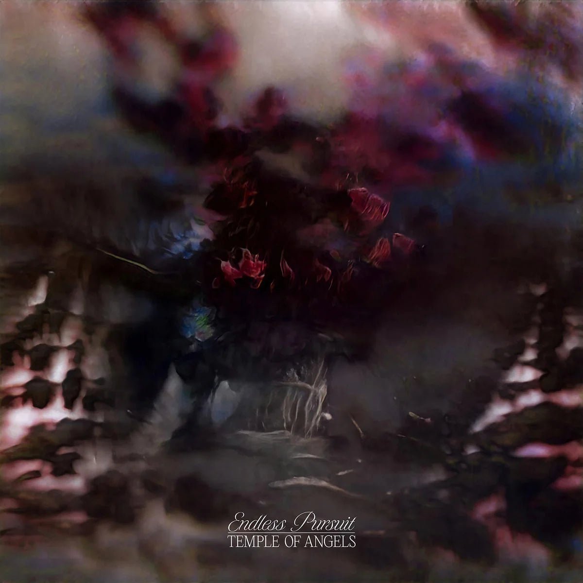 Temple Of Angels - Endless Pursuit LP - Vinyl - Run For Cover