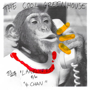 The Cool Greenhouse - Landlords/4 Chan 7" - Vinyl - Drunken Sailor