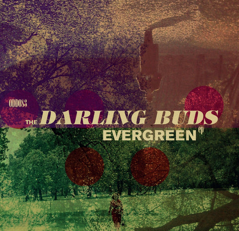 The Darling Buds - Evergreen 10" - Vinyl - Odd Box