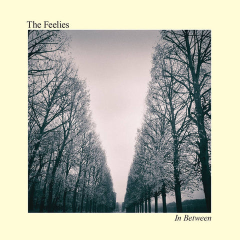 The Feelies ‎- In Between LP - Vinyl - Bar None