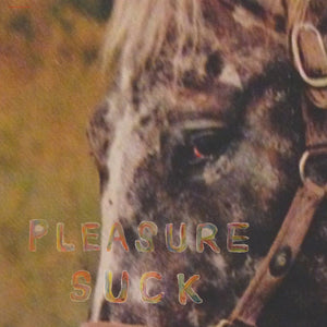 The Spirit Of The Beehive - Pleasure Suck LP - Vinyl - Tiny Engines