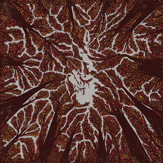 Trash Boat - Crown Shyness LP - Vinyl - Hopeless