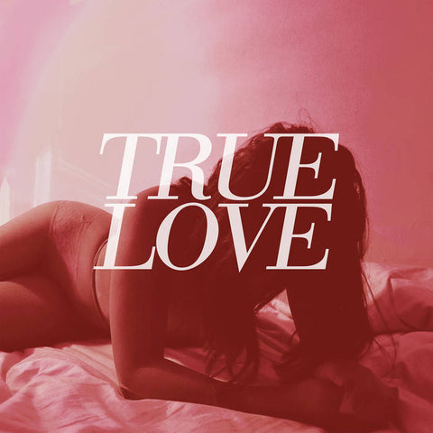 True Love - Heaven's Too Good For Us LP - Vinyl - Bridge Nine