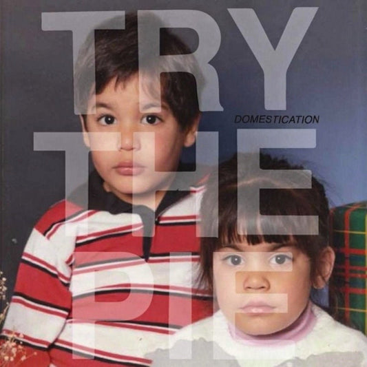 Try The Pie - Domestication LP - Vinyl - Salinas