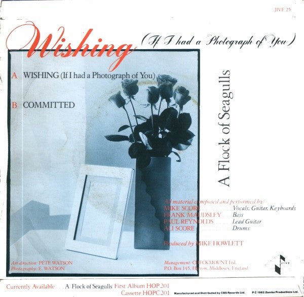 USED: A Flock Of Seagulls - Wishing (If I Had A Photograph Of You) (7", Single) - Used - Used