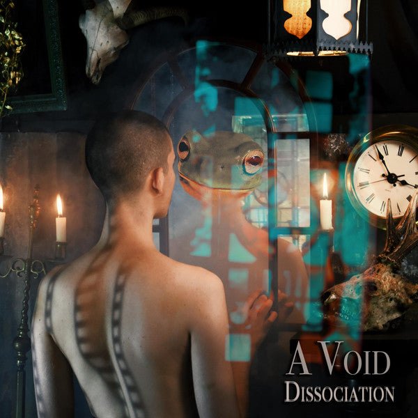 USED: A Void - Dissociation (LP, Mil) - Used - Used