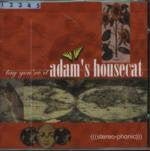 USED: Adam's Housecat - Tag, You're It (CD, Album) - Used - Used