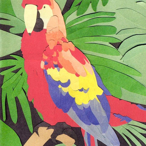 USED: Algernon Cadwallader - Parrot Flies (CD, Album, Blu) - Used - Used