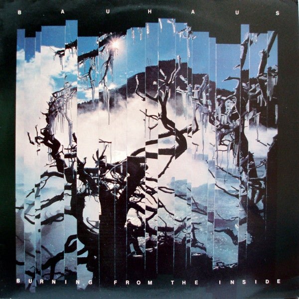 USED: Bauhaus - Burning From The Inside (LP, Album) - Used - Used