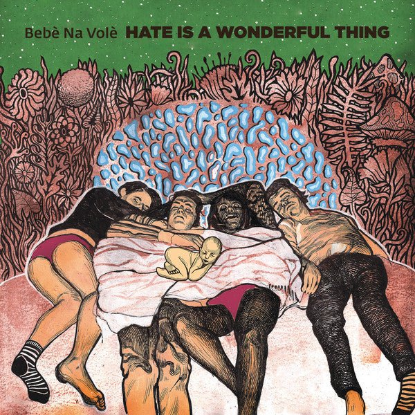 USED: Bebe Na Vole - Hate Is A Wonderful Thing (LP, Album) - Not On Label (Bebe Na Vole Self-released)