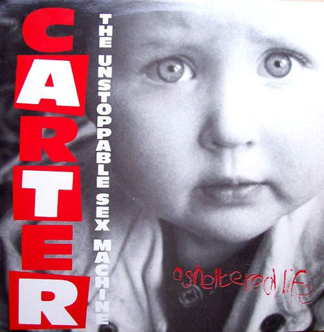 USED: Carter The Unstoppable Sex Machine - A Sheltered Life (12", Single) - Used - Used