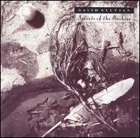 USED: David Sylvian - Secrets Of The Beehive (LP, Album) - Used - Used