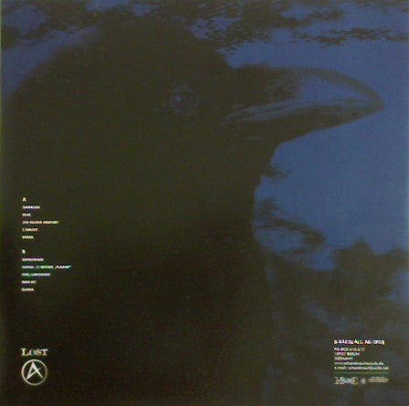 USED: Lost - Fear-Strach (LP, Album) - Used - Used