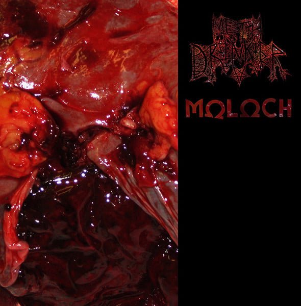 USED: Meth Drinker / Moloch (6) - Meth Drinker / Moloch (LP, Red) - Used - Used