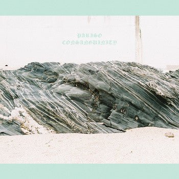 USED: Pariso - Consanguinity (12", Album, Pin) - Used - Used