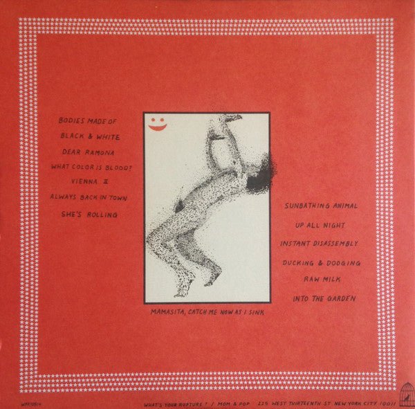 USED: Parquet Courts - Sunbathing Animal (LP, Album, Gat) - Used - Used