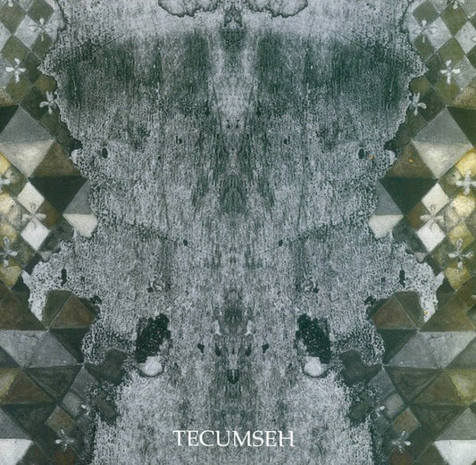 USED: Tecumseh (2) - Avalanche And Inundation (LP, Album, Ltd) - Used - Used