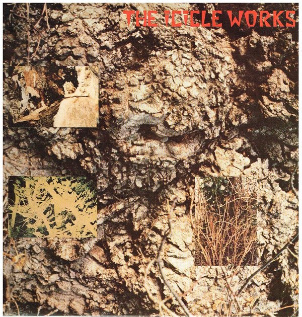 USED: The Icicle Works - The Icicle Works (LP, Album) - Used - Used