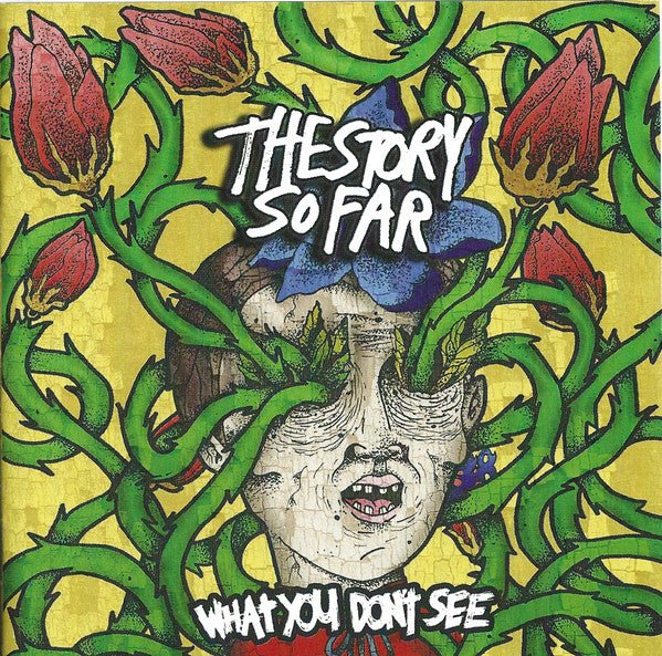 USED: The Story So Far (2) - What You Don't See (CD, Album, Sli) - Used - Used