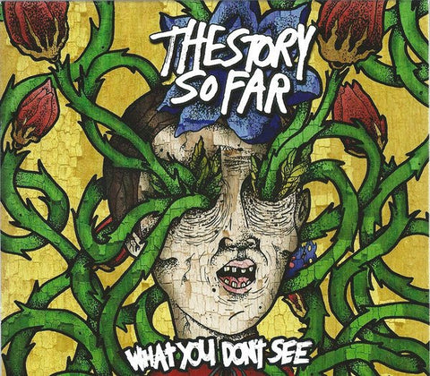 USED: The Story So Far (2) - What You Don't See (CD, Album, Sli) - Used - Used