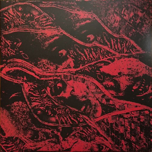 Vermin Womb - Retaliation LP - Vinyl - Closed Casket Activities