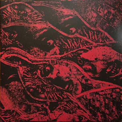 Vermin Womb - Retaliation LP - Vinyl - Closed Casket Activities