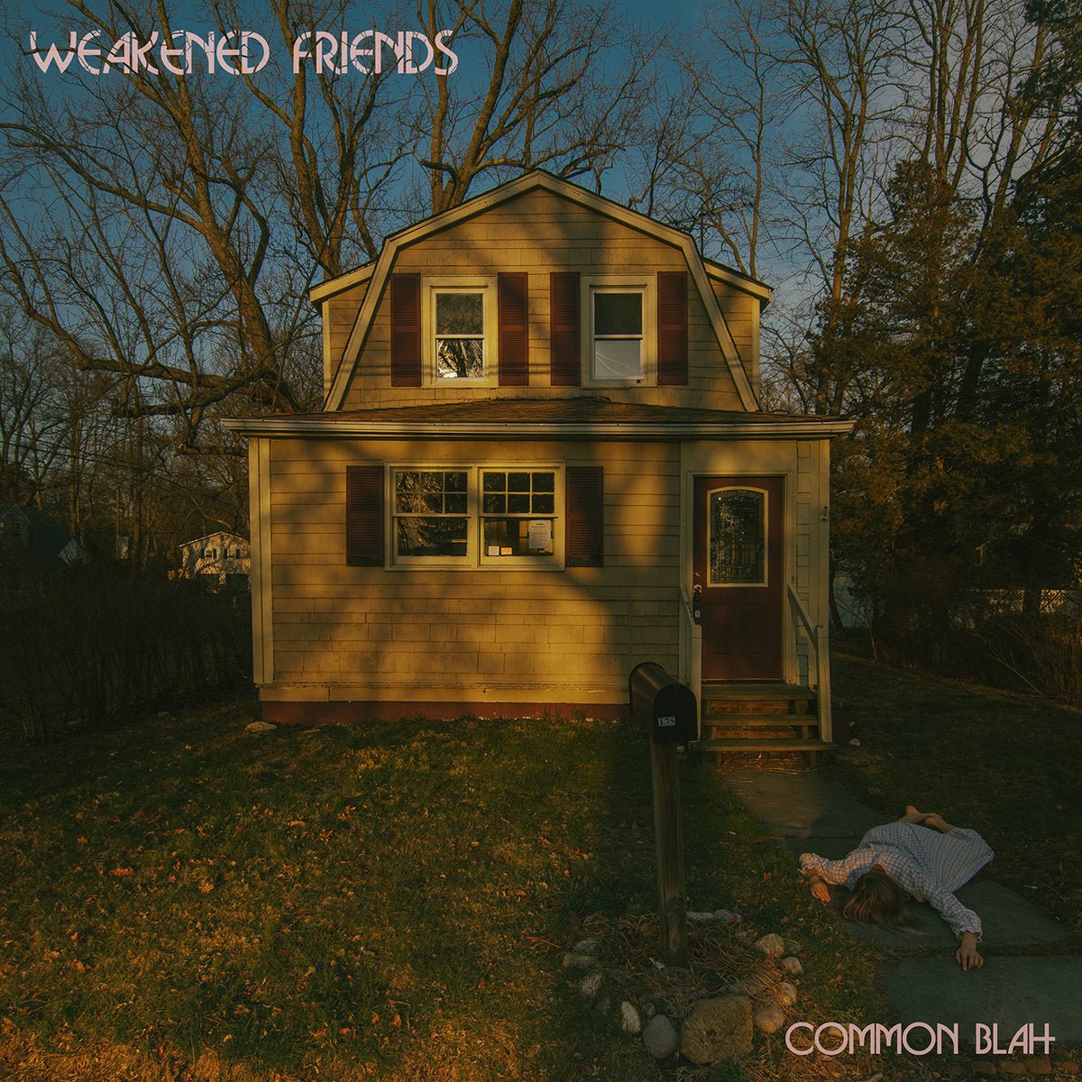 Weakened Friends - Common Blah LP - Vinyl - Don Giovanni