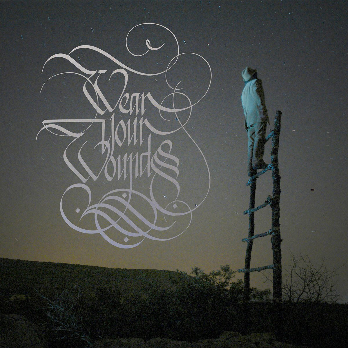 Wear Your Wounds - WYW LP - Vinyl - Deathwish