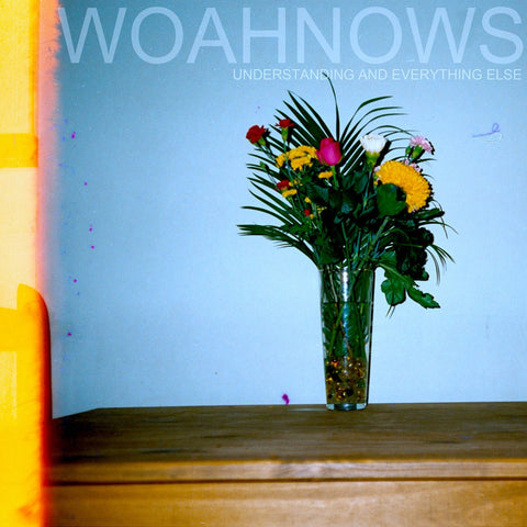 Woahnows - Understanding and Everything Else LP - Vinyl - BSM